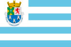 Bandeira de cidade Diadema